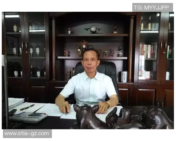 深圳羽毛球队逆袭联合会杯的辉煌历程与奋斗精神展现